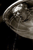 Fountain Detail