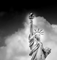 Foggy Freedom