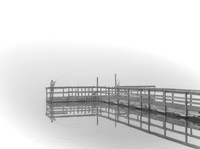 Fishing in the Fog