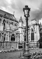 Lamp at Notre Dame