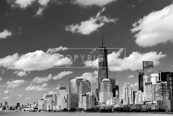 New York City Profile