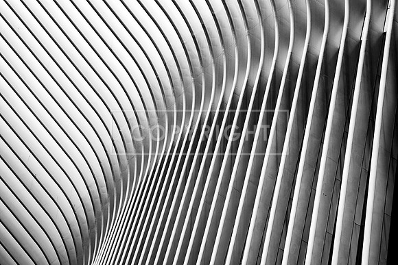 Abstract of the Oculus