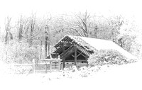 Winter Garden Respite