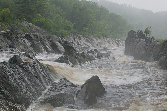 Foggy River