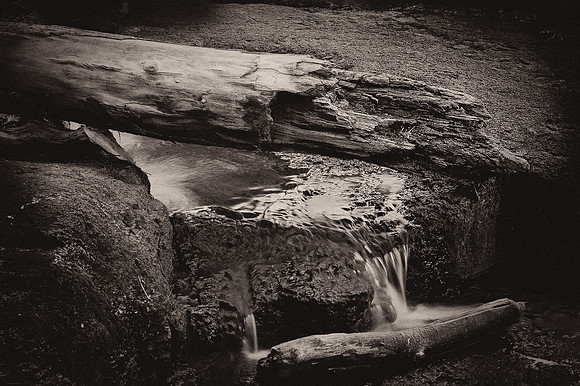 Log and Waterfall