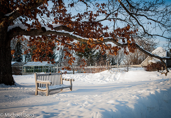 Leaves & Snow