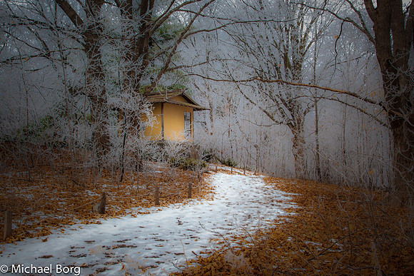 Winter Path