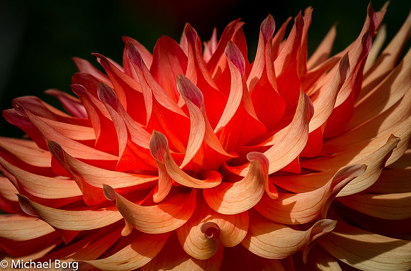 2015-10-04-Arboretum-195735184 x 3456