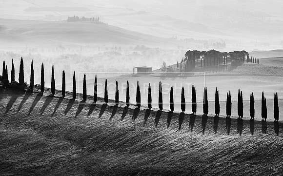 Tuscan Sentinels