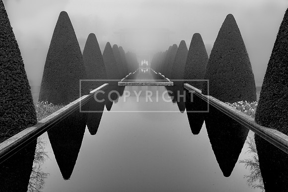 Vanishing Point
