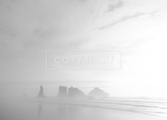 Coastal Stacks with fog