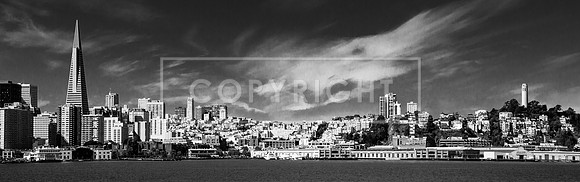 San Francisco Landscape